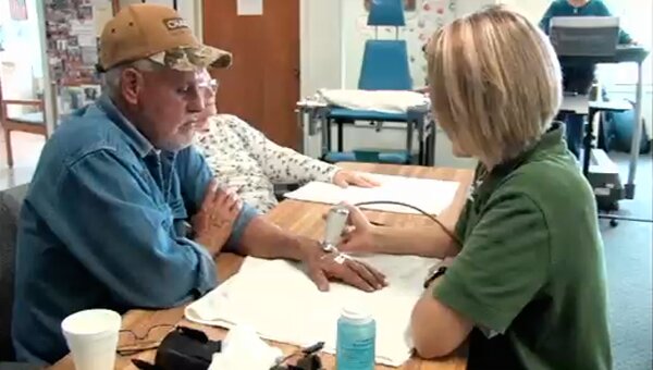 Leaf ; A close up shot of a green leaf.