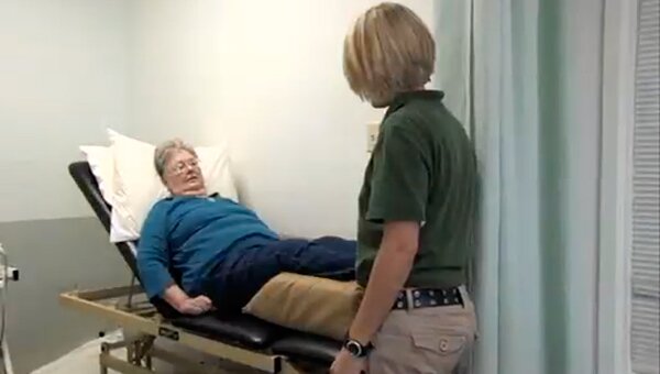 Leaf ; A close up shot of a green leaf.