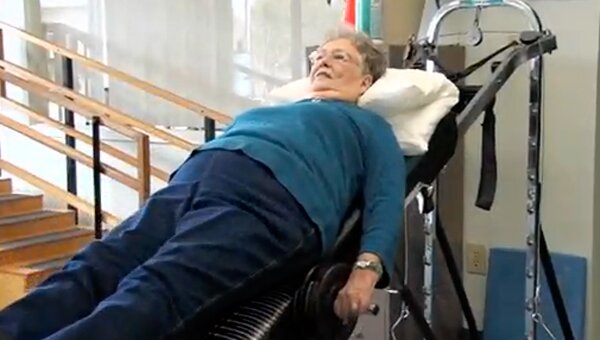 Ladybird ; A close up shot of a ladybird making its way across a leaf.