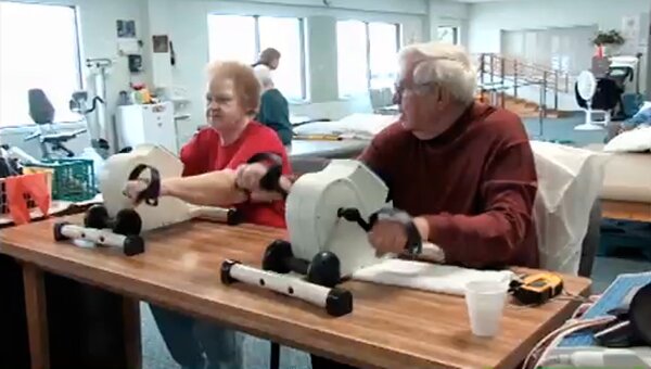 Leaf ; A close up shot of a green leaf.