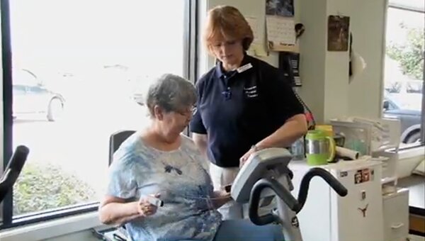 Ladybird ; A close up shot of a ladybird making its way across a leaf.